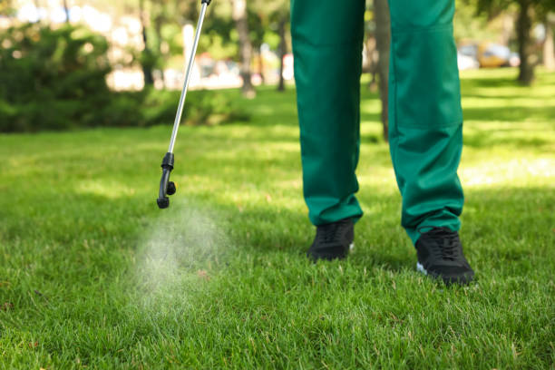 Pest Control Cost in Vaughn, WA