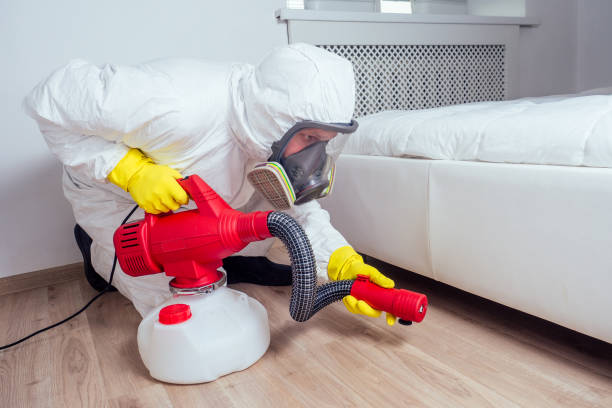 Best Ant Control Services  in Vaughn, WA
