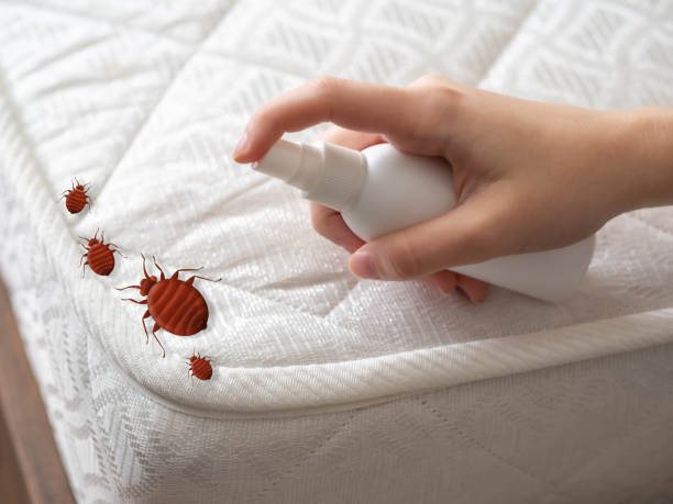Best Affordable Pest Control Services  in Vaughn, WA
