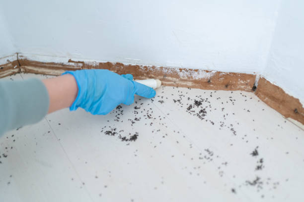 Best Wildlife Control Services  in Vaughn, WA